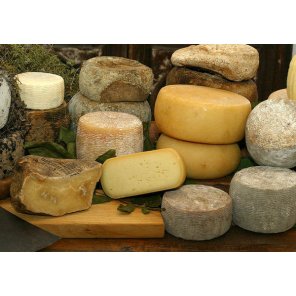 Norme FDA USDA per importare formaggio negli USA