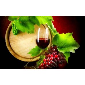 Novita_Vino_senza_solfiti_Stati_Uniti_d_America_2.jpg