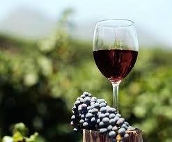 New York sede della golden age del vino 