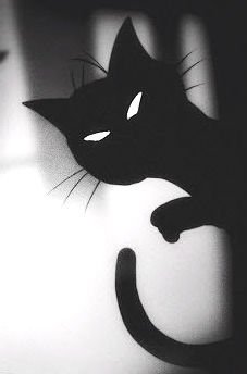 La dichiarazione preventiva dei redditi per evitare accertamenti all'azienda italiana da parte dell'Agenzie delle Entrate Americana