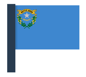 Tassazione Corporation e LLC Nevada