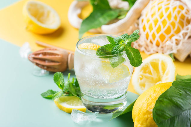 In aumento le vendite di acqua minerale negli Stati Uniti La “bolla Seltzer”: la domanda di acqua frizzante in America è più alta che mai