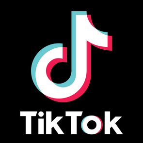 Trend settore fashion americano su TikTok