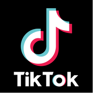 Cosmetica Social marketing cosmetica e beauty su TikTok in America