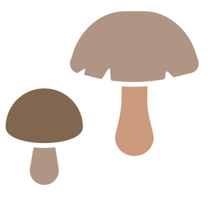 Vendere funghi negli Stati Uniti