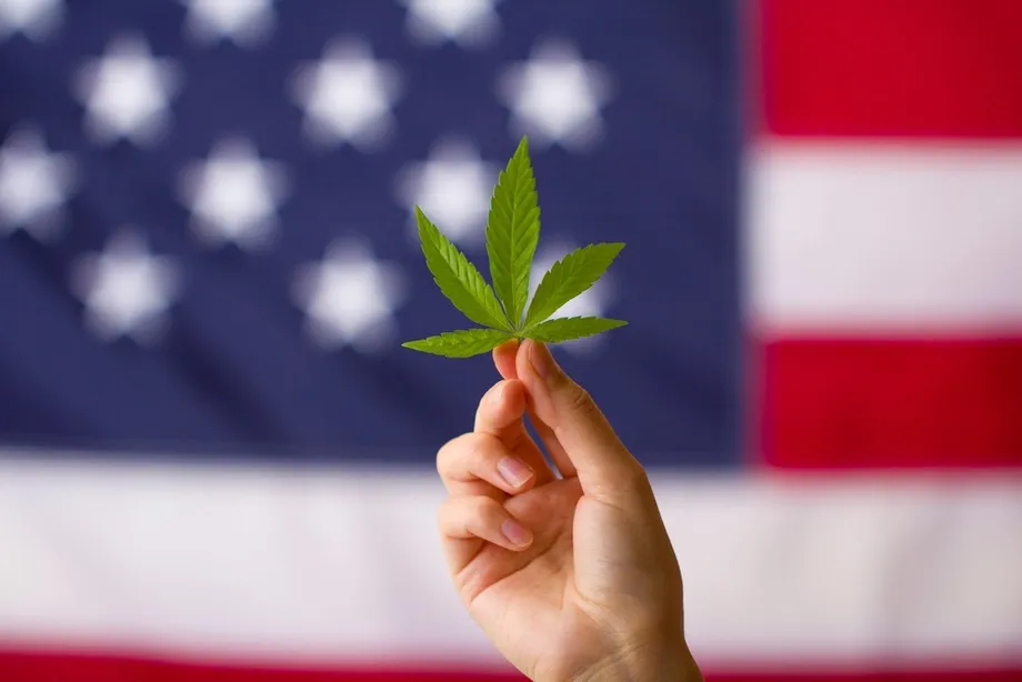 Si può già vendere la cannabis a New York? Facciamo chiarezza