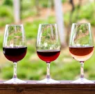 Come vendere vino ai Millennials e Gen Z negli Stati Uniti