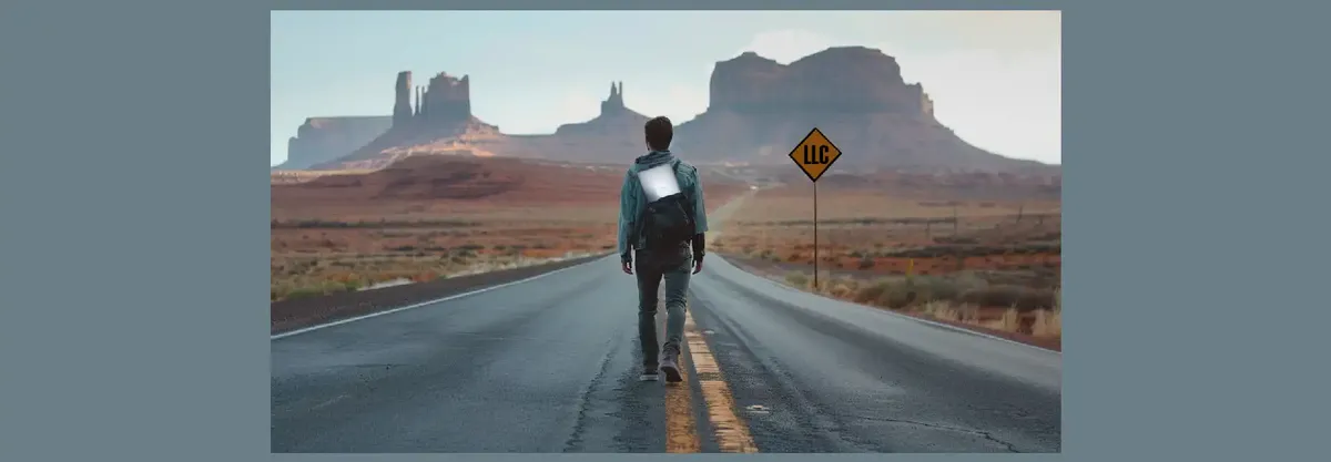 Apertura LLC per vendere servizi digitali o per svolgere attività di web marketing o di consulenza