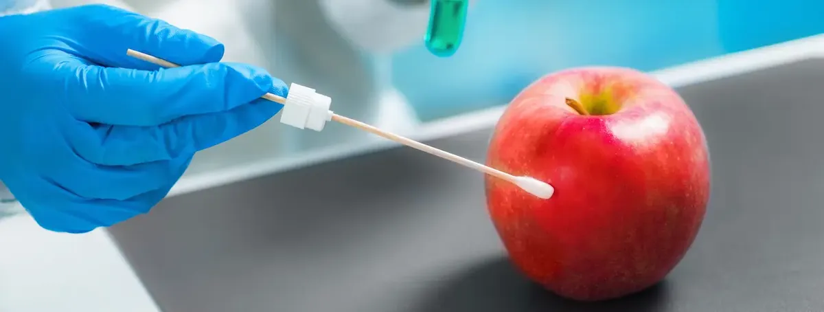 Biologo esamina prodotto alimentare in laboratorio per controlli FDA