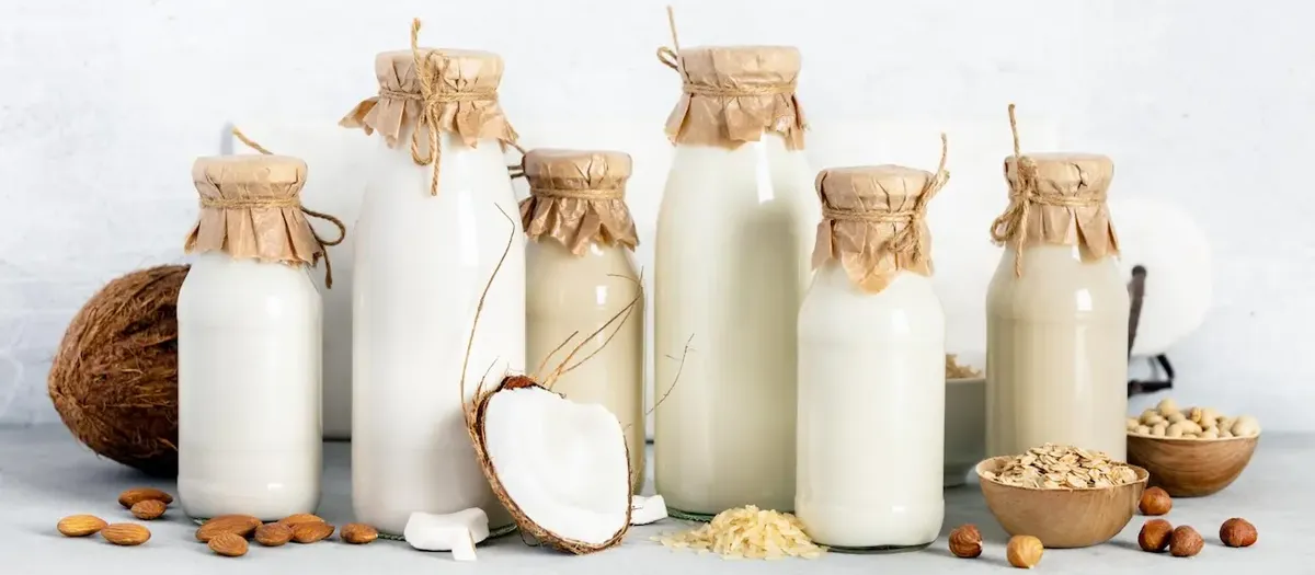 Composizione di bottiglie di latte vegetale artigianale con ingredienti naturali come mandorle, cocco e avena, su sfondo neutro