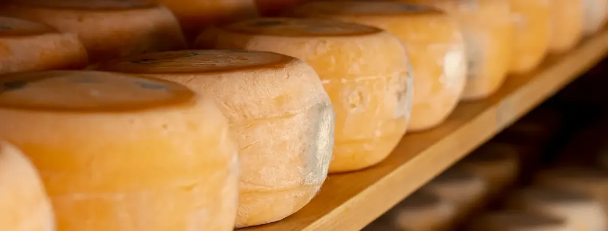 Primo piano di deliziosi pezzi di formaggio stagionato, che evoca la qualità e l'autenticità dei formaggi a latte non pastorizzato
