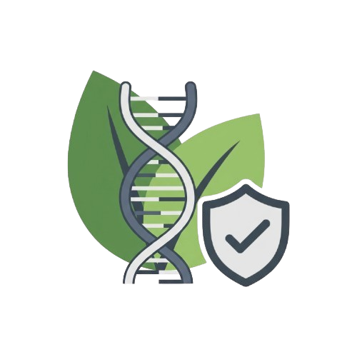 Icona di DNA e foglie con scudo di protezione, che simboleggia OGM e sicurezza alimentare.