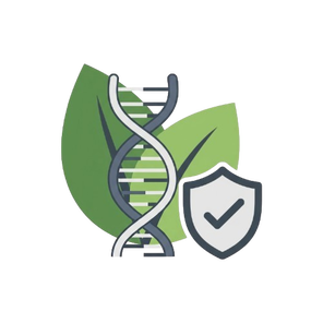Icona di DNA e foglie con scudo di protezione, che simboleggia OGM e sicurezza alimentare.