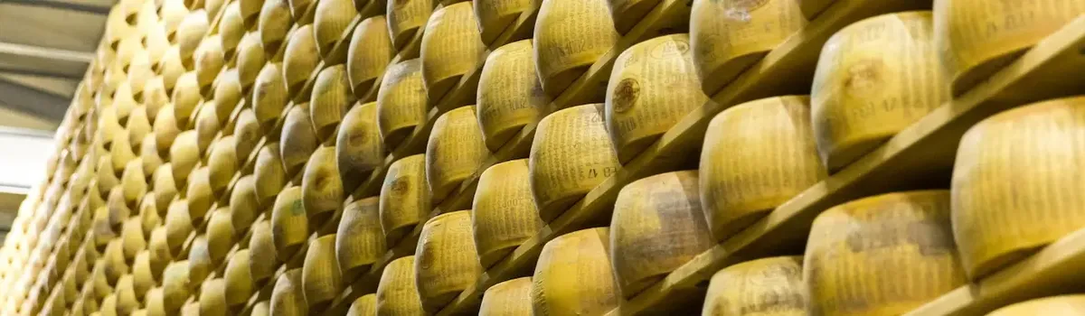 Forme di Parmigiano Reggiano stagionato su ripiani di legno, che rappresentano la tradizione italiana dell'esportazione di formaggi