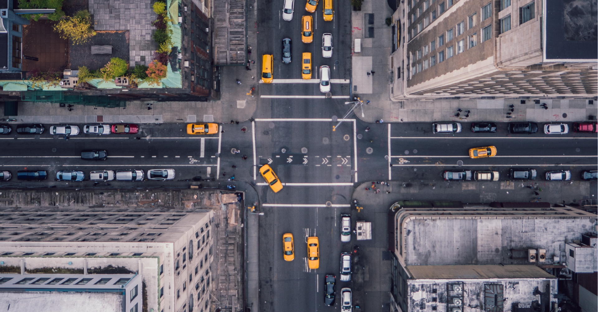 Servizi per l'export Servizi per esportare negli Stati Uniti