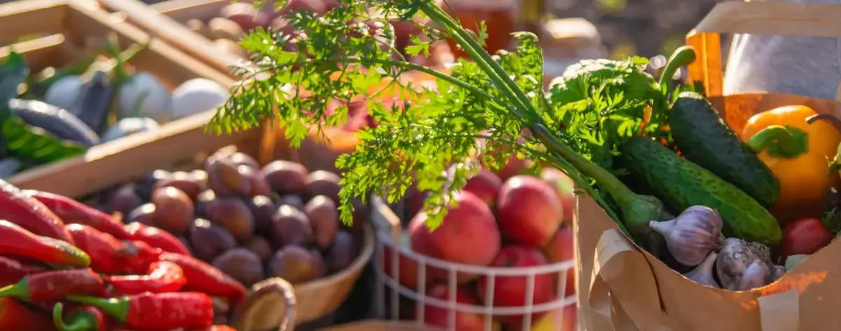 prodotti biologici in un sacchetto, che simboleggia la crescita del mercato alimentare salutare negli Stati Uniti
