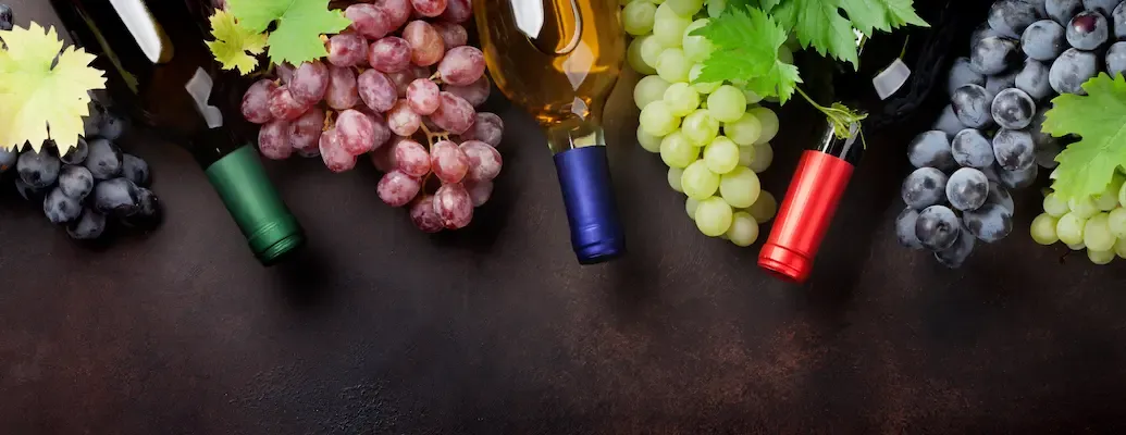 Programma di ExportUSA per connettere produttori italiani di vino con importatori e distributori americani.
