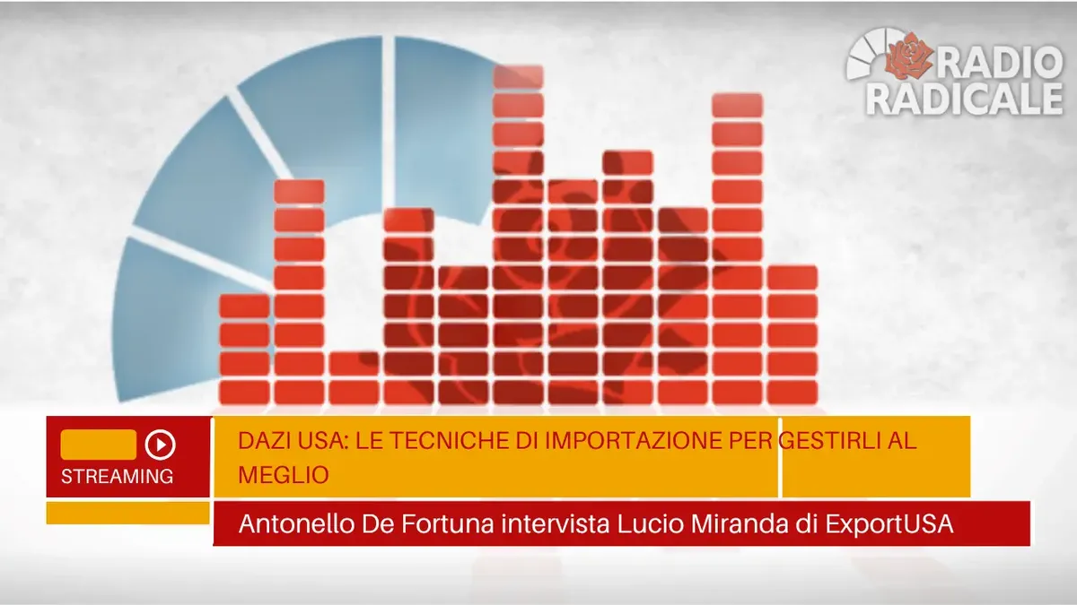 Radio Radicale intervista Lucio Miranda di ExportUSA sulle tecniche di importazione in America il 30 luglio 2025