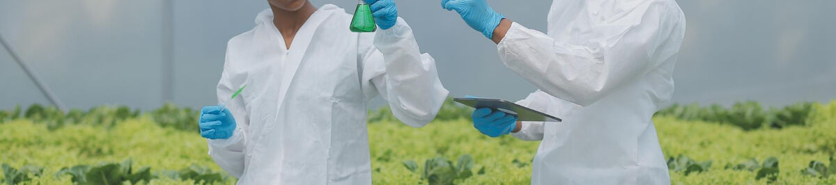 Personale in camice protettivo che esegue test scientifici in una serra, simboleggiando la sicurezza alimentare e il controllo qualità