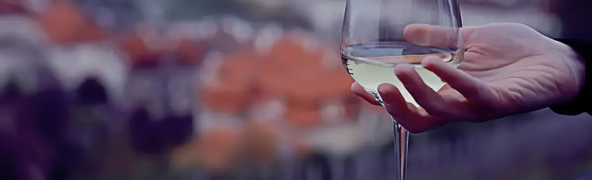 Mano che regge un calice di vino bianco con sfondo sfocato di un paesaggio, a simboleggiare il piacere del consumo di vino.