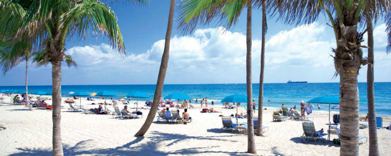 ExportUSA per aprire una società in Florida Come aprire una corporation o una LLC in Florida