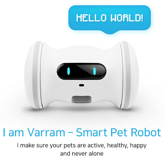 Finanziare il lancio di un nuovo prodotto negli USA Robot dog sitter su Indiegogo