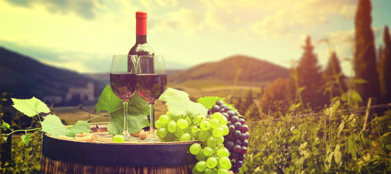 Programma commerciale ExportUSA Esportare prosecco negli USA