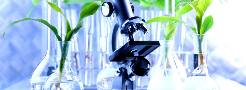 Normativa FDA importazione cosmetici Stati Uniti Distinzione tra cosmetici e medicinali