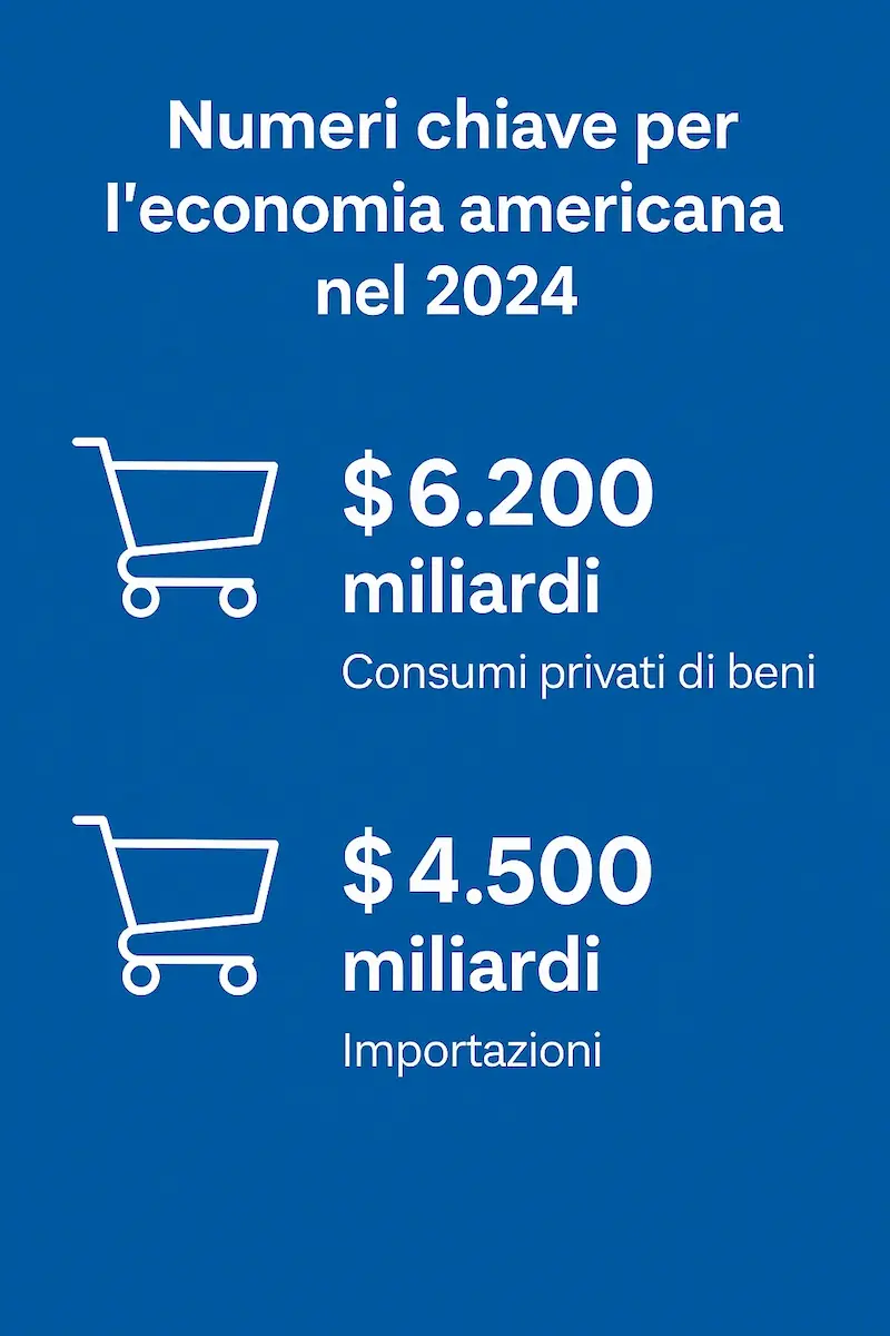 infografica su valore prodotti importati negli USA nel 2024