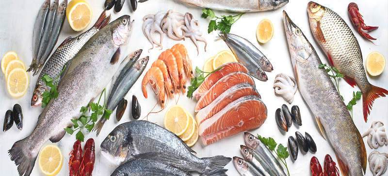 Mettere a norma pesce e prodotti ittici da importare in America