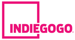 Finanziare il lancio di un prodotto negli Stati Uniti Indiegogo Crowdfunding
